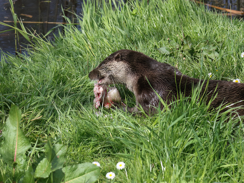Nieuwe foto's